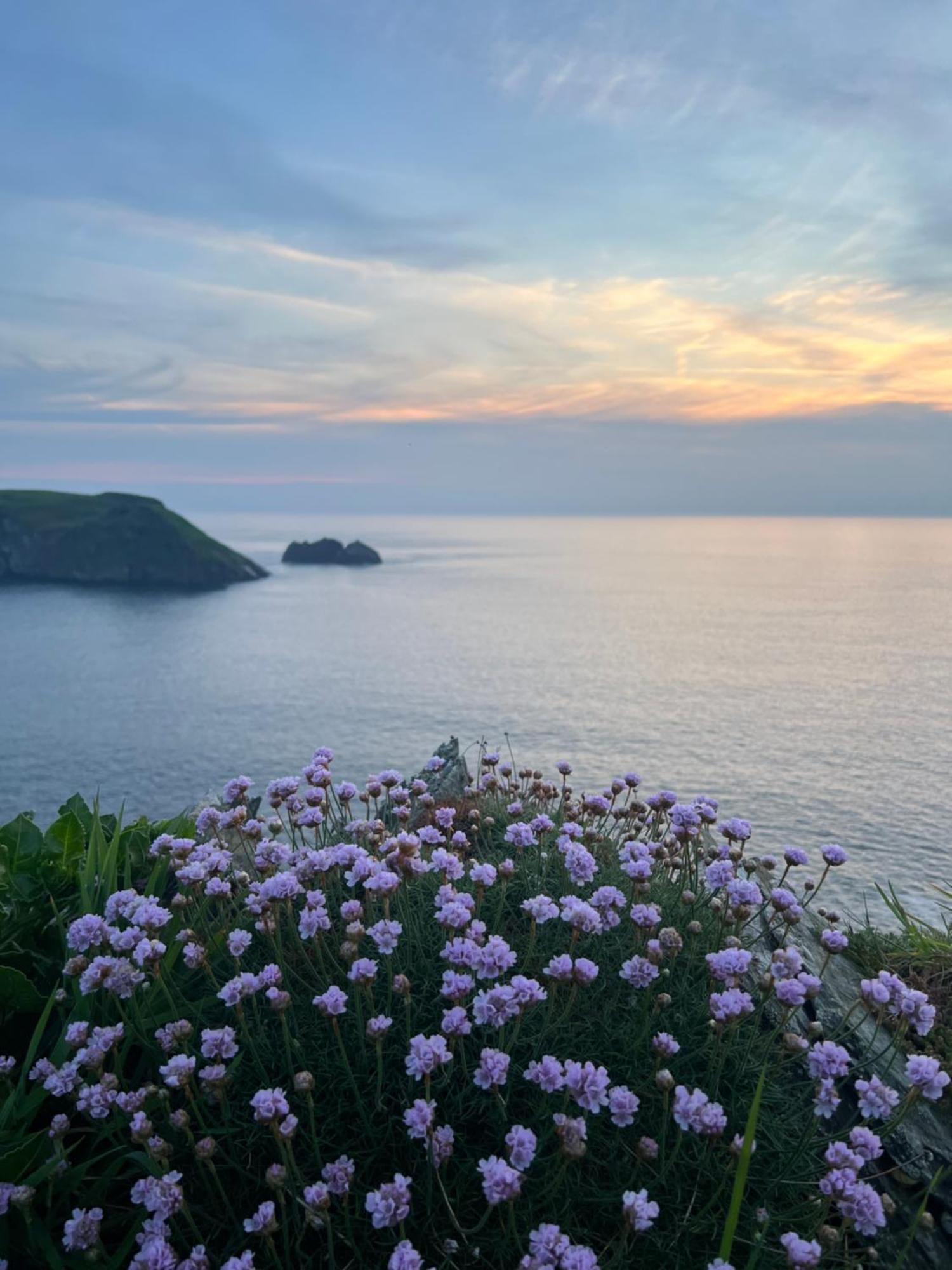 Pine Cottage Boscastle Exteriör bild