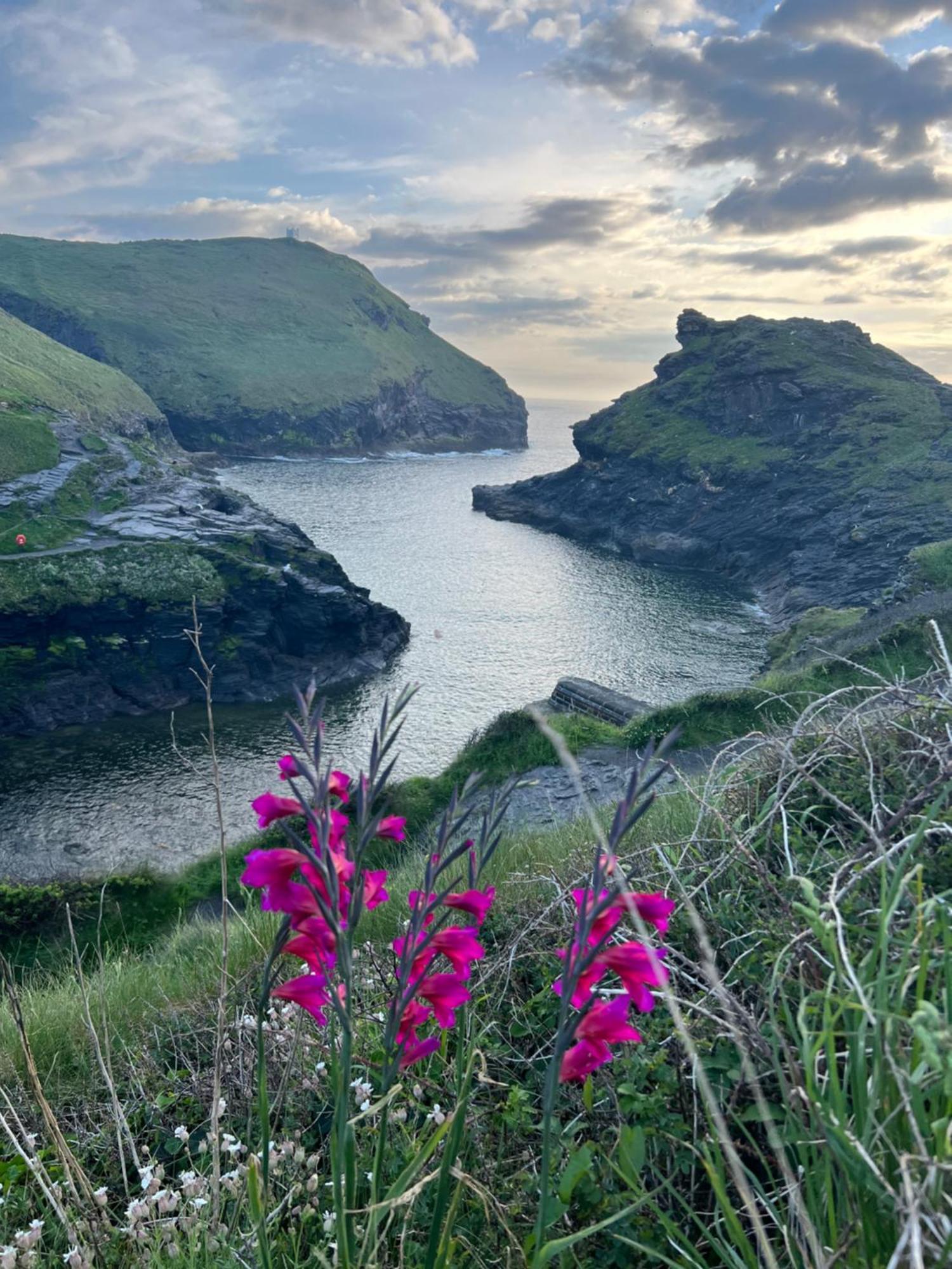 Pine Cottage Boscastle Exteriör bild