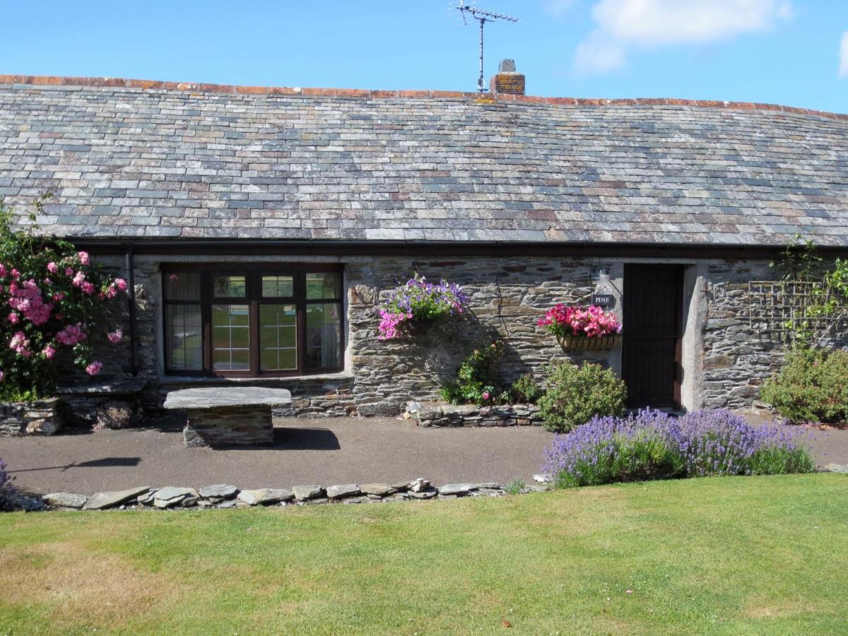 Pine Cottage Boscastle Exteriör bild